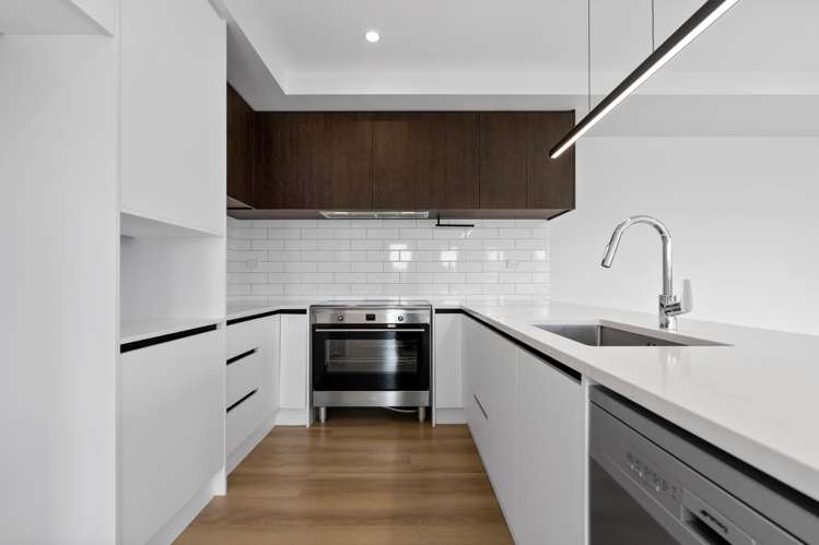 14 Dendro Ring Road Wainui_11