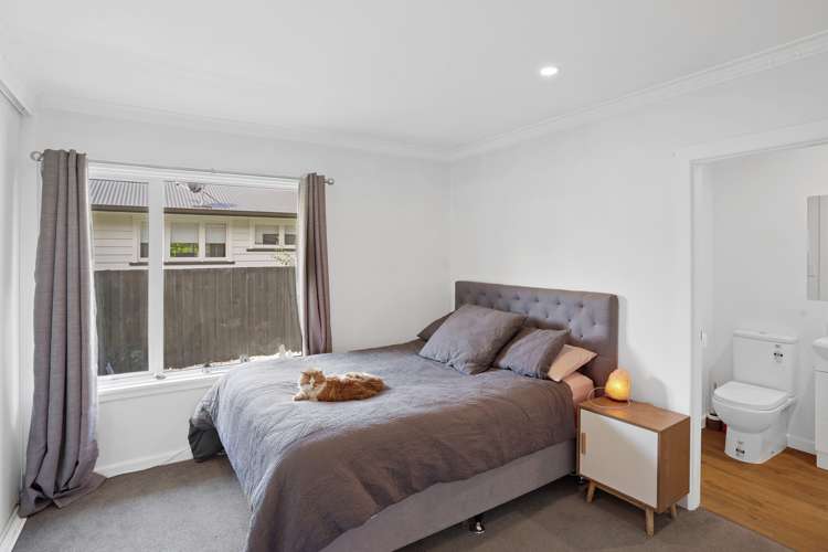 45 Emlyn Place Avondale_13