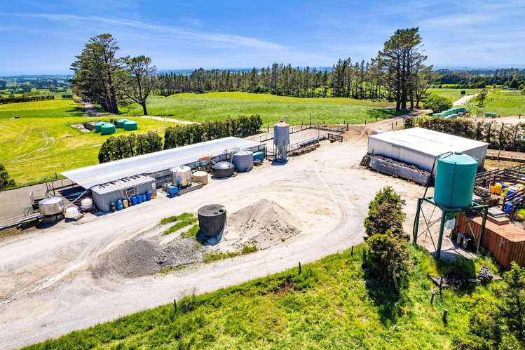 1627 Mangorei Road Korito_24