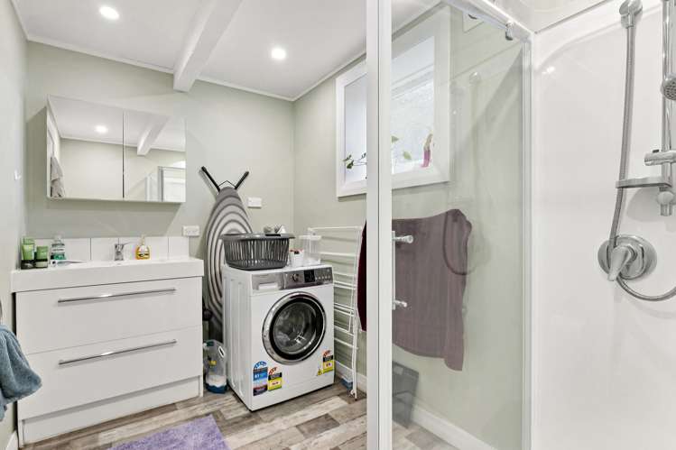 17 Rakau Road Hataitai_13