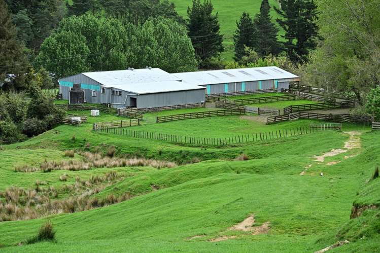 439 Rakauroa Road Matawai_4