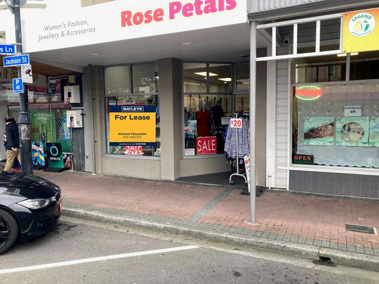 214 Jackson Street Petone_2