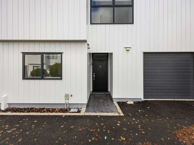 4/195 Massey Street Frankton_1