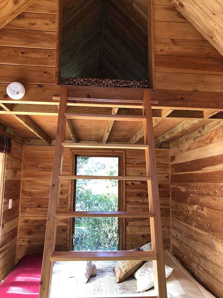 Kauri Cabin/128 Lone Kauri Road Karekare_6