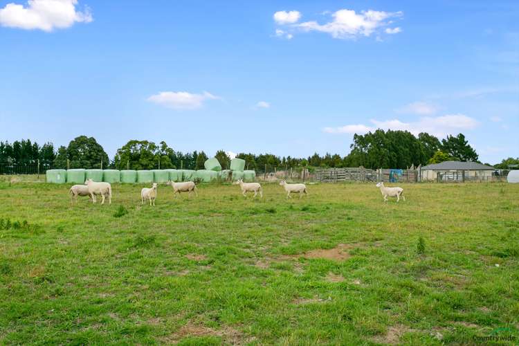 1348c State Highway 5 Tapapa_20