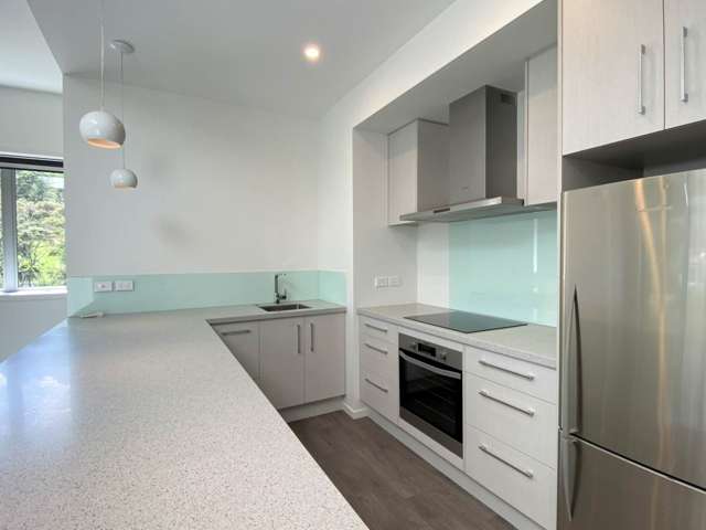 D10/18 Oteha Valley Road Extension Albany_3