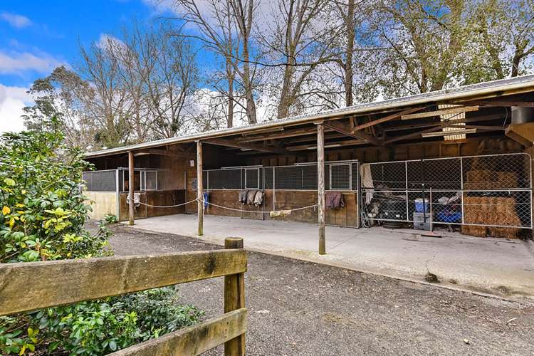 1153 Dairy Flat Highway Dairy Flat_26