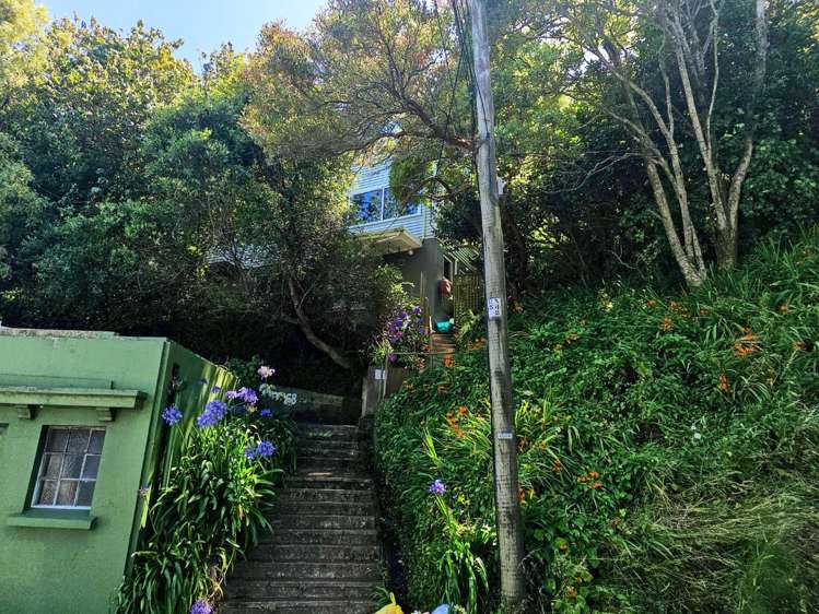 64B Salamanca Road 1287_6