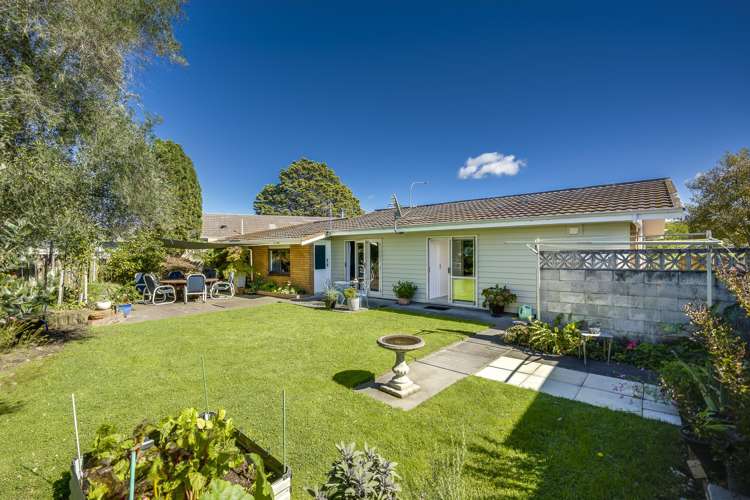 329 Westminster Avenue Tamatea_22