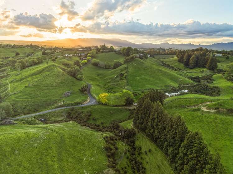 325A Esdaile Road Whakamarama_34