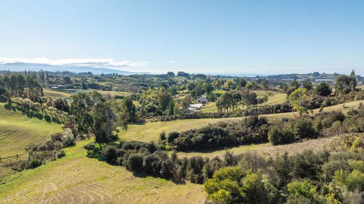 284 Harley Road Tasman_25