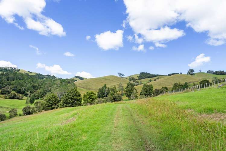 395 Tangihua Road Maungakaramea_48