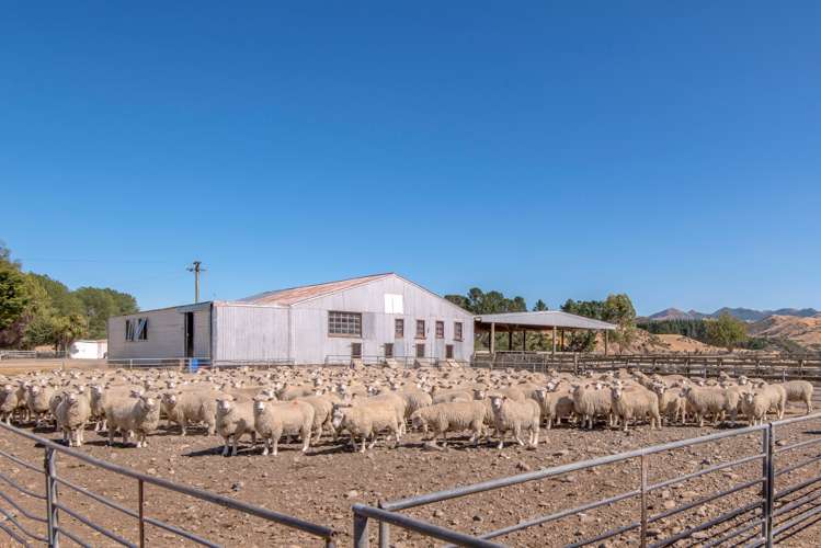 175 Mendip Road Cheviot_12