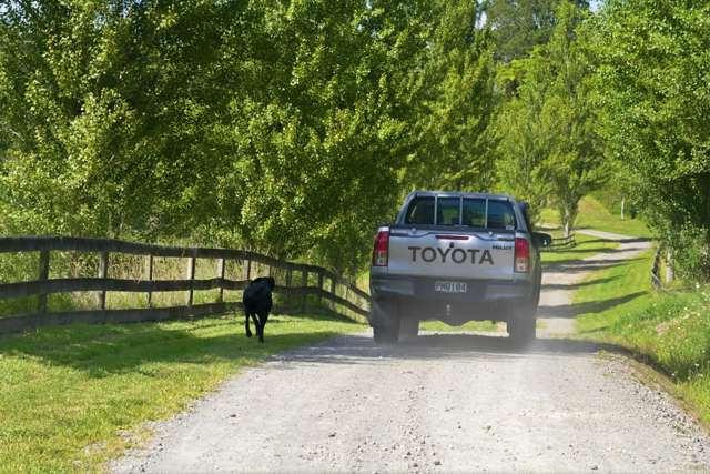 91B Gasson Lane Pyes Pa_1