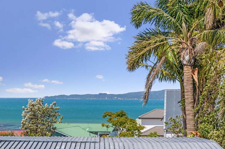 209 Mahurangi East Road_0