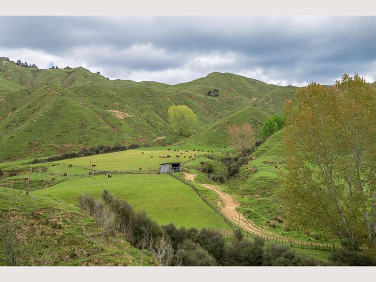 368 Kirikau Valley Road Ruapehu_6