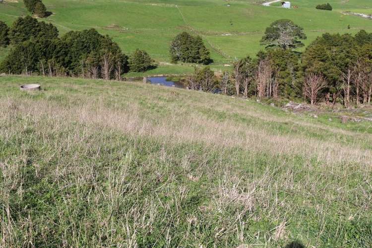 Riponui Road Ruatangata_13