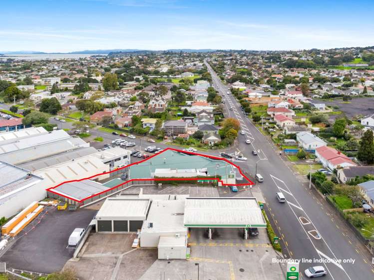 263 Mount Smart Road Onehunga_2