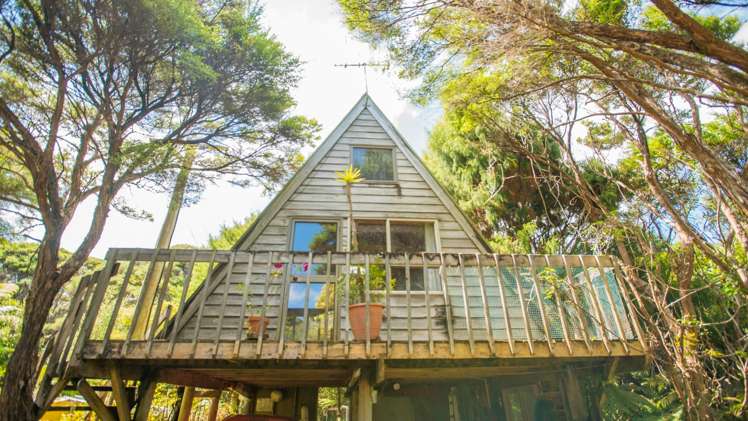 20 La Trobe Track Karekare_22