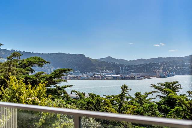 1/9 Wilkinson Street Oriental Bay_2