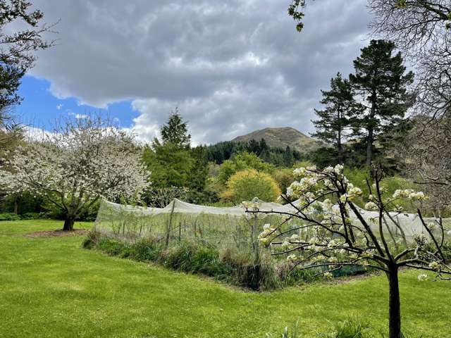 96 Cattle Valley Road Kurow_4