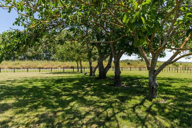 1156 Matawai Road Ormond_1
