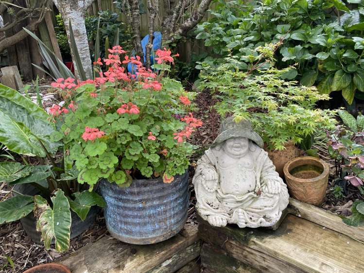 100 Centennial Avenue Waitara_29