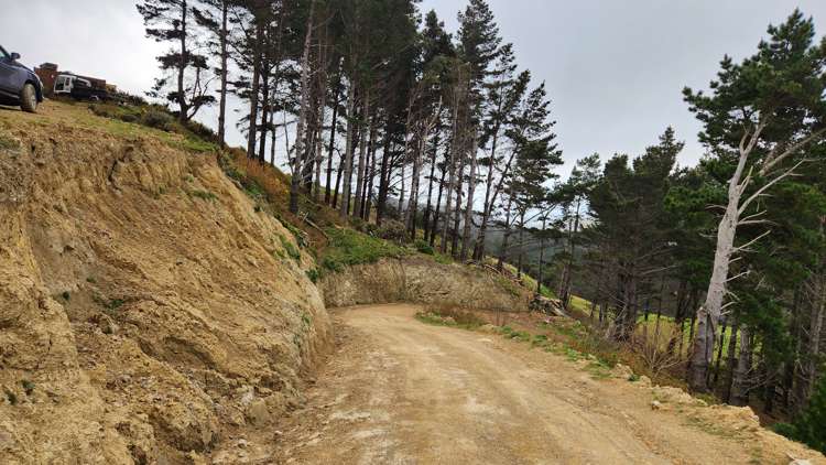 751 Makara Road Makara_5