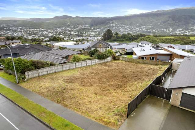158 Woodman Drive Tawa_1
