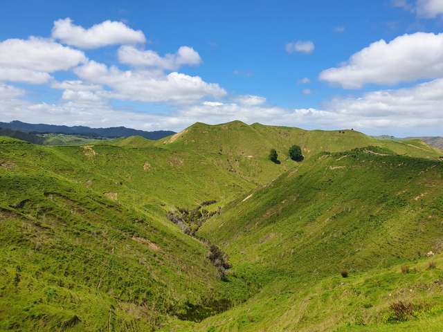 Parihauhau Road Parikino_1