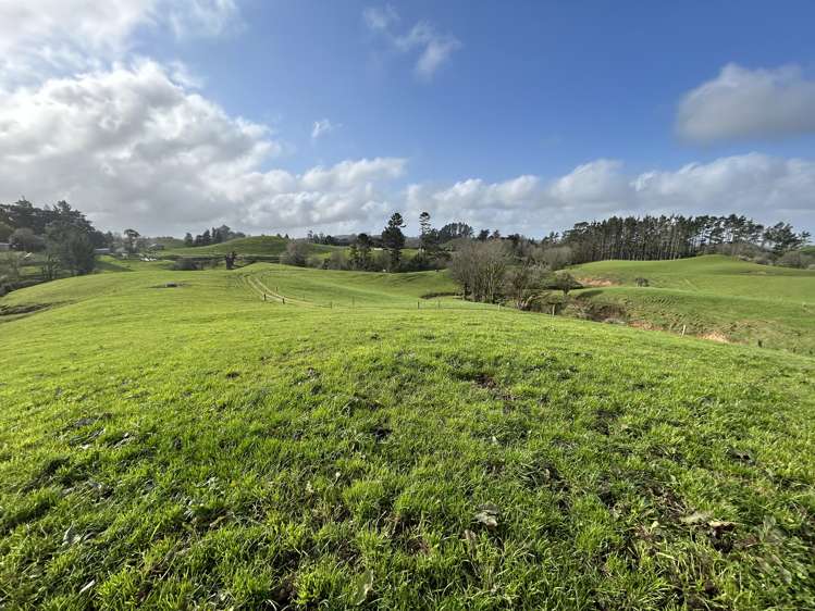 72 Dudley Road Lower Inglewood_26