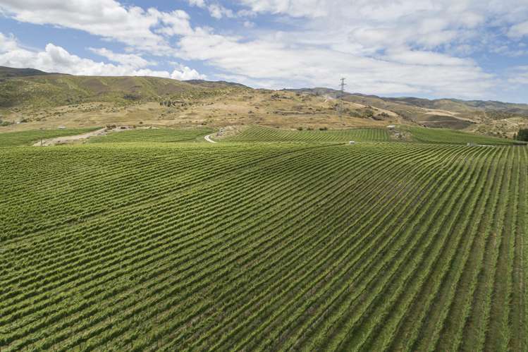 Cairnmuir Road Nevis_11