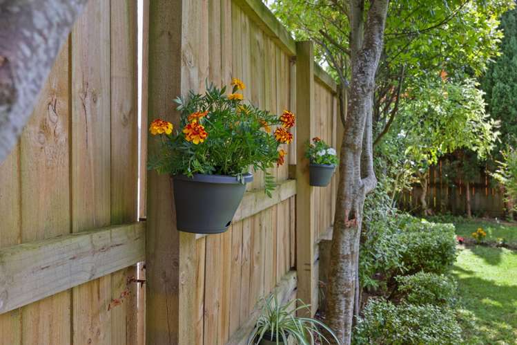 52 Elliot Street Howick_9