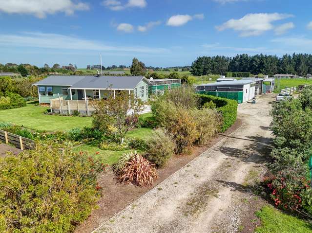 91 Bushy Park Road Kai Iwi_4