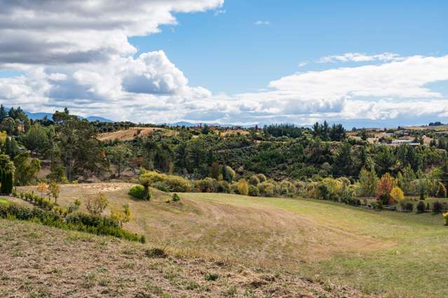 Make Dominion Road Your Domain