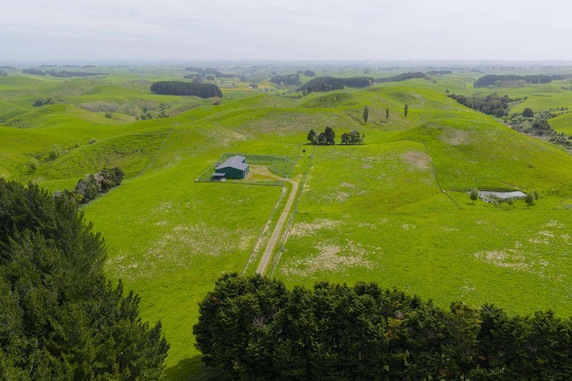 137 Zigzag Road Pohangina Valley_0