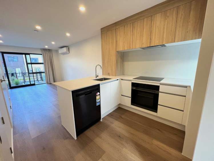 3 Jabuka Street Glen Eden_2