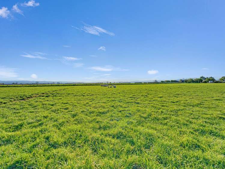 21 Dominion Road Timaru_9