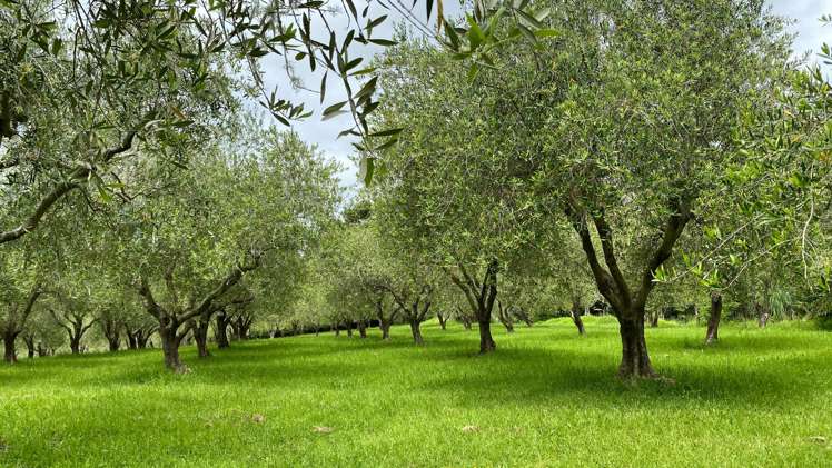 728 Ormiston Road Waipu_24