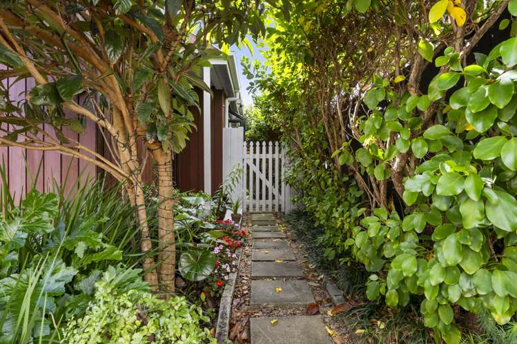 33B Armadale Road_1