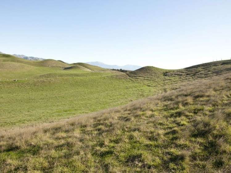 328 Caseys Road Seddon_19