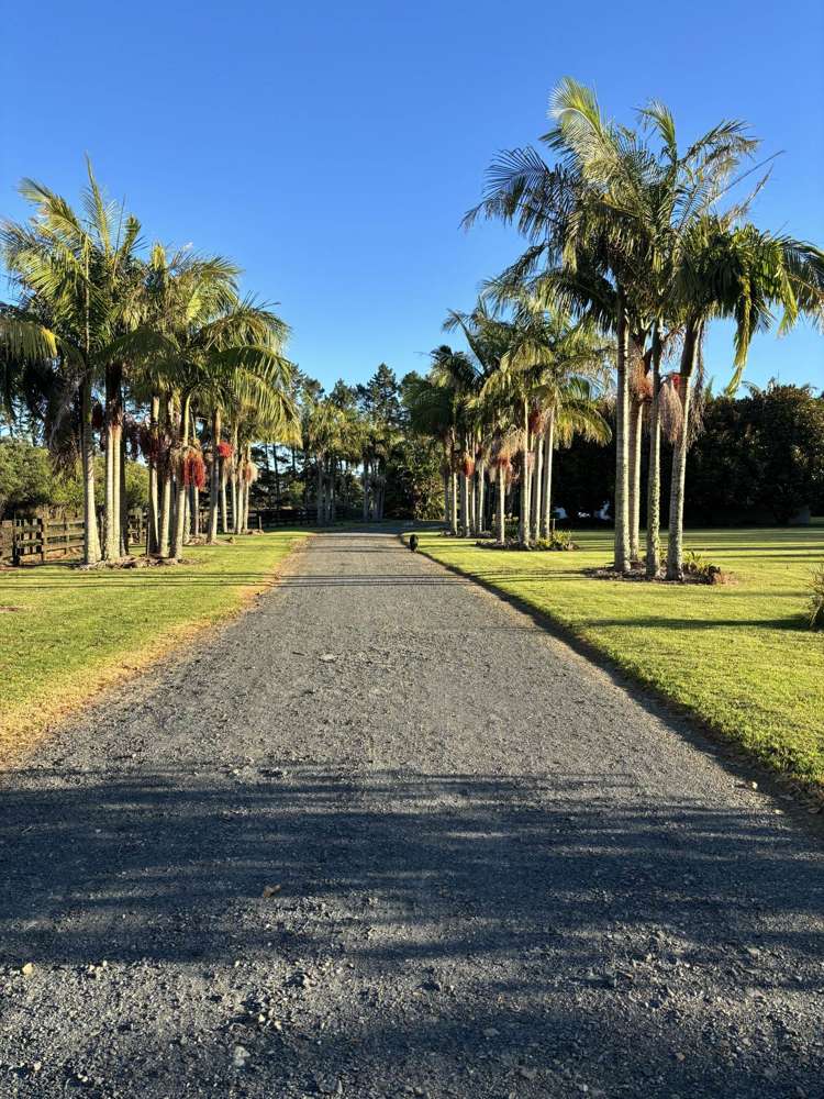 223A Ness Road Kerikeri_29