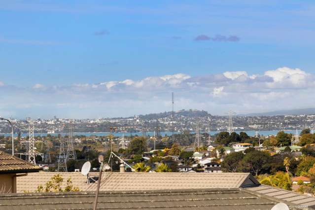 9 Frosses Place Massey_1