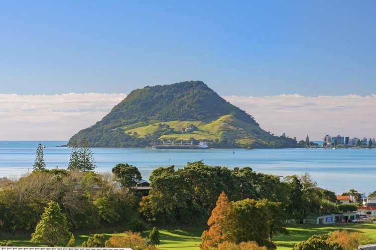 10 Pillans Road Otumoetai_6