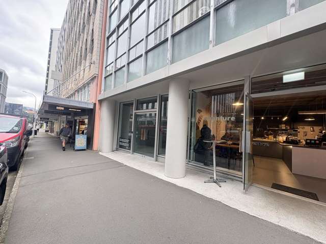 Unit E/45-47 The Terrace Wellington Central_3