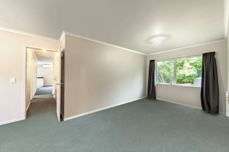 6C Pokaka Street Birchville_7