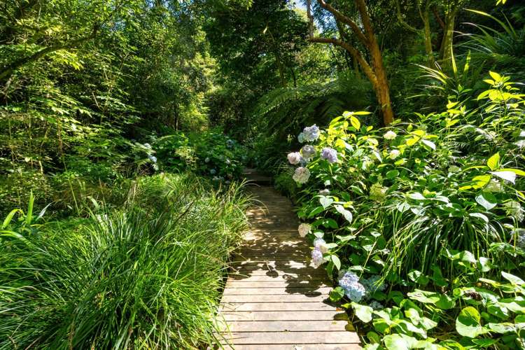 12 Maori Road Dunedin Central_18