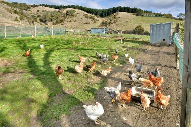 397 East Taieri-Allanton Road Allanton_24