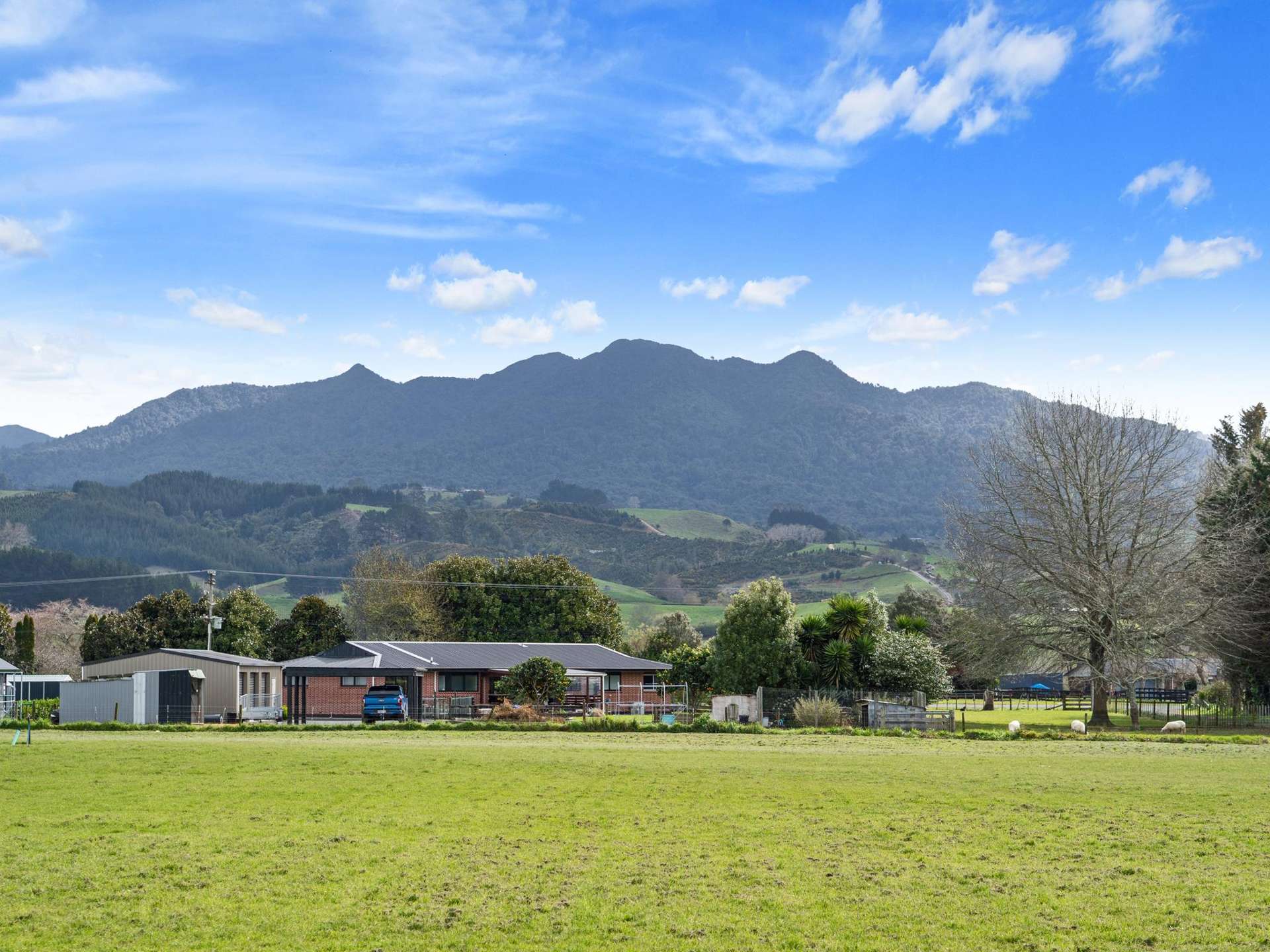 1/1070 Collinson Street Pirongia_0