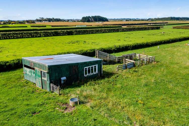 105 Mawhitiwhiti Road Normanby_24